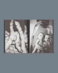 Studio Blanco Books^To Belong Book Multicolor