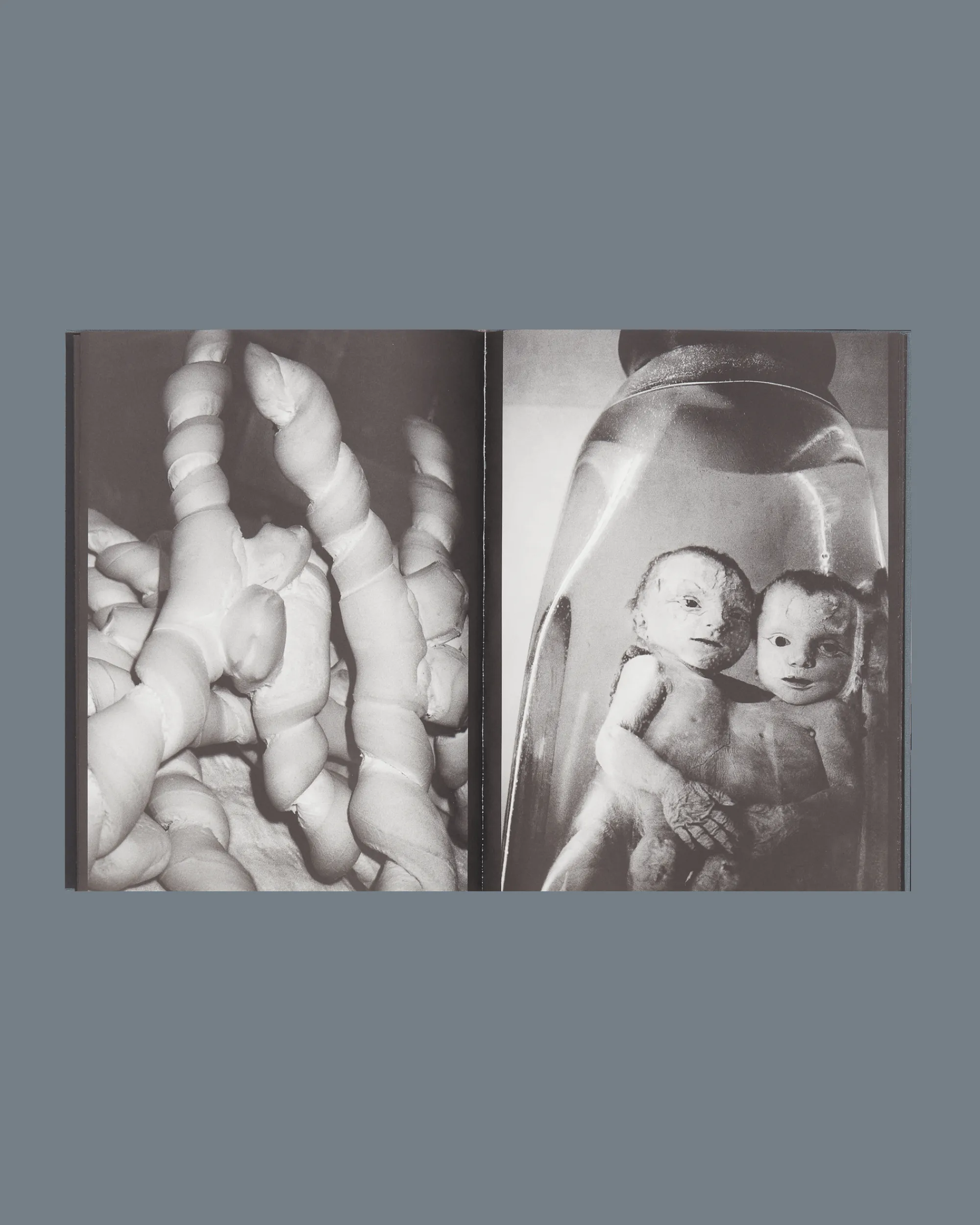 Studio Blanco Books^To Belong Book Multicolor