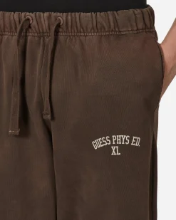 Guess USA Pants^Washed Terry Sweatpants Brown