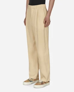 AURALEE Pants^Washi Duck Canvas Pants Beige