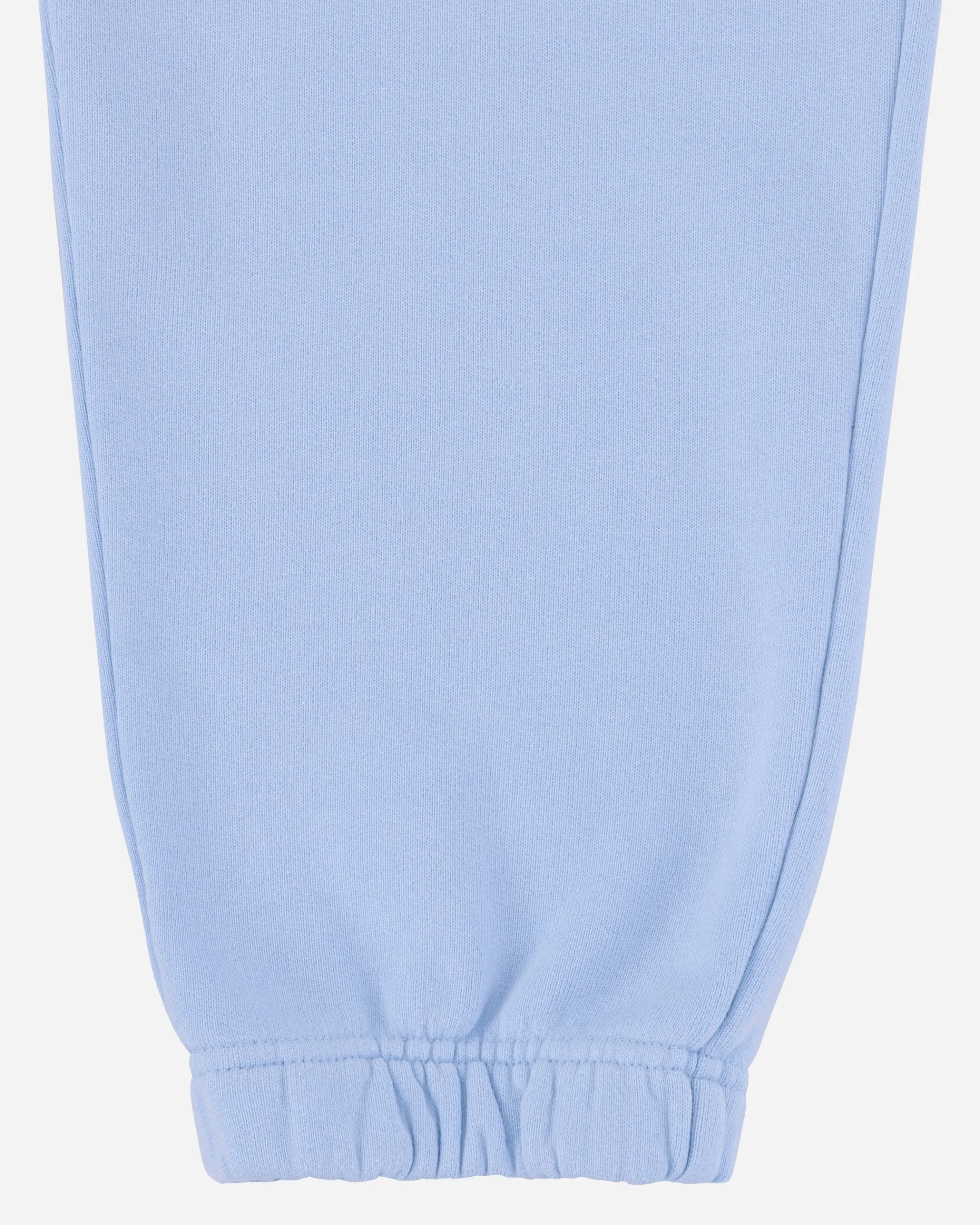 Nike Jordan Pants^Women's Wordmark Fleece Pants Blue