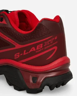 Salomon Sneakers·Low|Sneakers^XT-6 Sneakers Rum Raisin / Red / Fired Brick