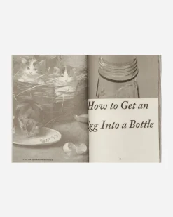 Innen Publishing Magazines^Zug Zine N°13